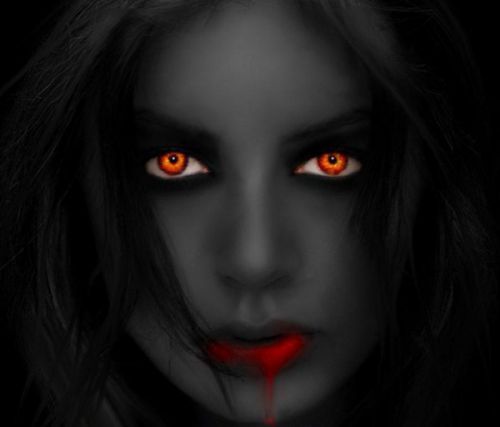 artimage_479842_3306908_201103265823619.jpg